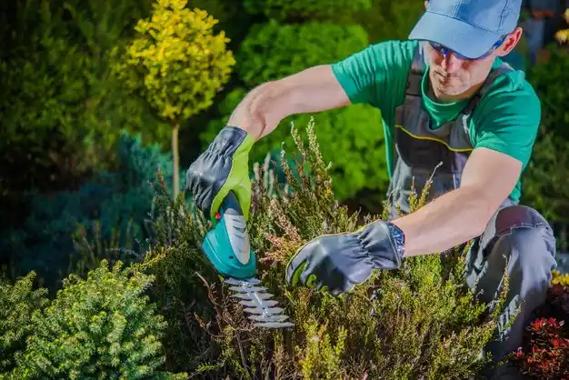 landscaping services Sleepy Hollow